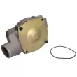 THERMOTEC WP-CA115 - Pompe à eau, refroidissement du moteur