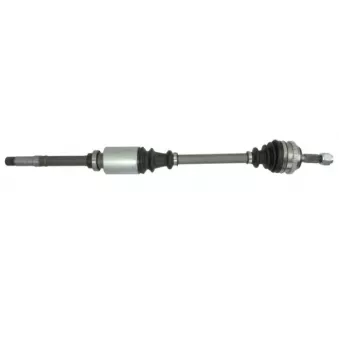 PASCAL G2C032PC - Arbre de transmission avant droit 