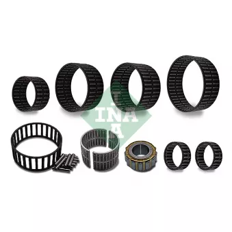 Kit de réparation, boîte de vitesse manuelle INA OEM A0019814210