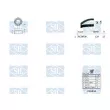 Saleri SIL K1PA983A - Pompe à eau + kit de courroie de distribution