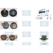 Saleri SIL K3PA945A - Pompe à eau + kit de courroie de distribution