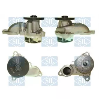 Pompe à eau Saleri SIL OEM 251002A200