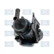 Saleri SIL PE1850 - Pompe à eau auxiliaire (circuit d'eau de refroidiss)