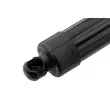 TEKNÖR AE-HY-050 - Moteur électrique, hayon arrière gauche 