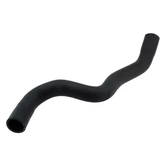 Durite de radiateur TEKNÖR CPP-MZ-001