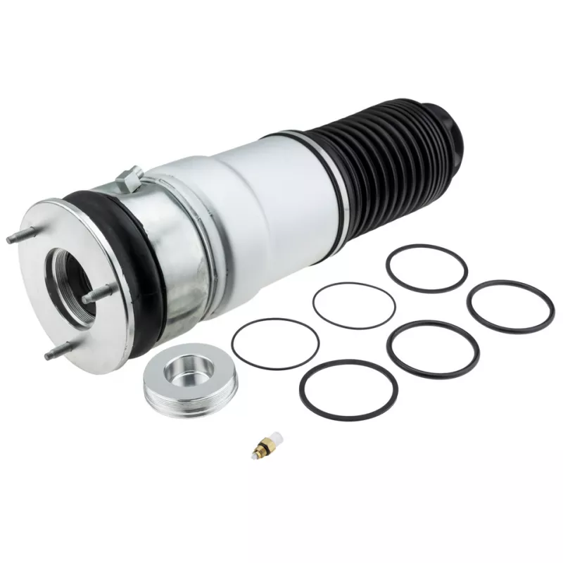 Ressort pneumatique, châssis TEKNÖR EZC-BM-308 - Visuel 1