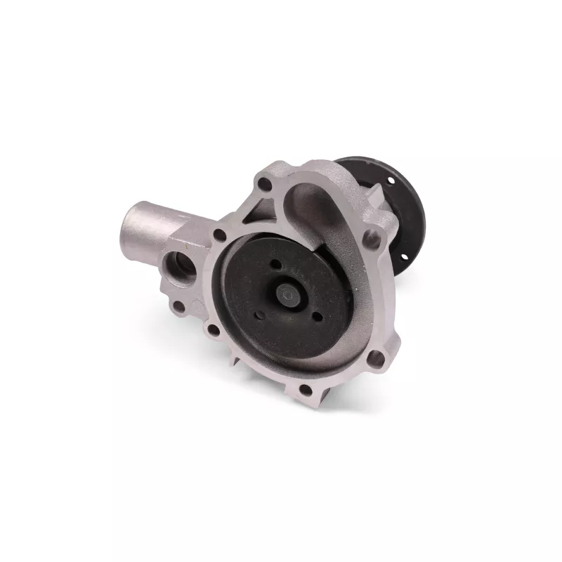 Pompe à eau HEPU P052 - Visuel 1