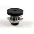 HEPU P1011 - Pompe à eau