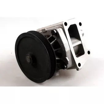 Pompe à eau HEPU OEM 46437911