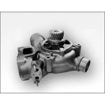 Pompe à eau HEPU OEM 500350797