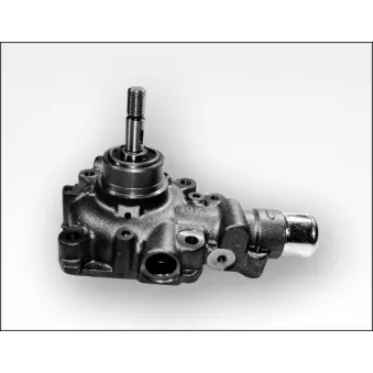 Pompe à eau HEPU OEM 500361455