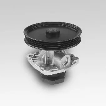 HEPU P125 - Pompe à eau