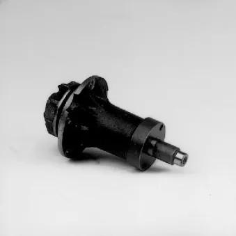 HEPU P158 - Pompe à eau