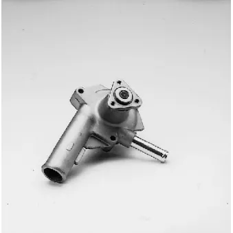 HEPU P222 - Pompe à eau