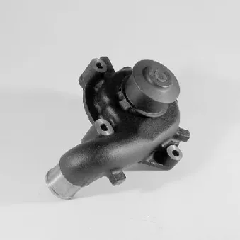 HEPU P228 - Pompe à eau