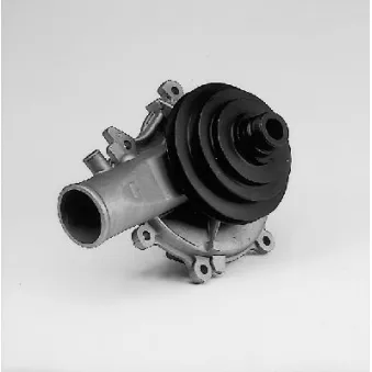 HEPU P311 - Pompe à eau