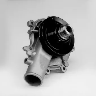 HEPU P336 - Pompe à eau