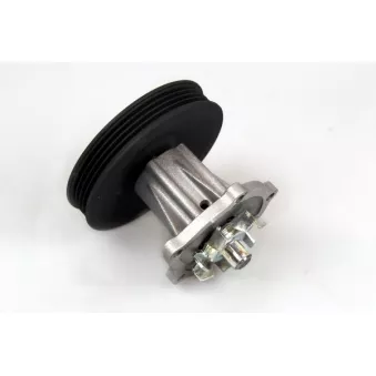 Pompe à eau HEPU OEM 96416294