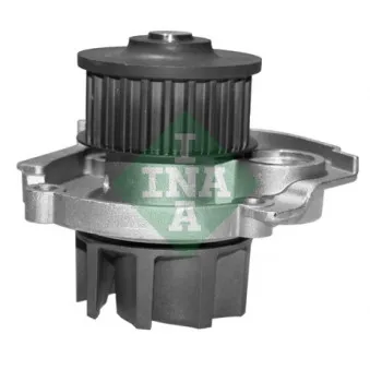 INA 538 0062 10 - Pompe à eau