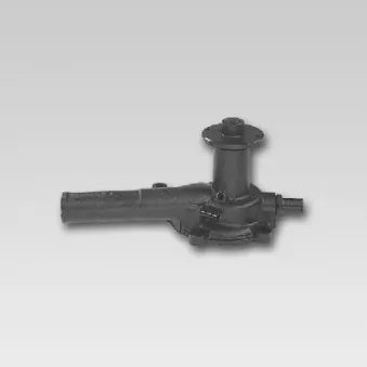 HEPU P712 - Pompe à eau