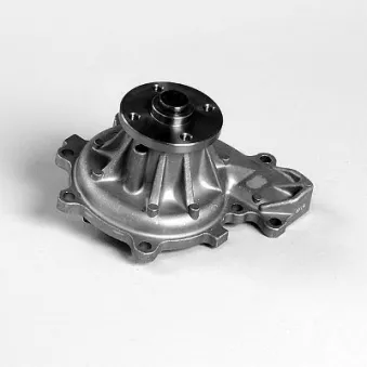 Pompe à eau HEPU P7202