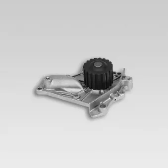 Pompe à eau HEPU OEM 1610039075