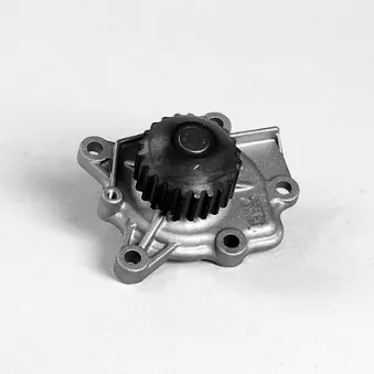 Pompe à eau HEPU P7211