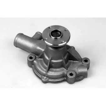 Pompe à eau HEPU OEM 21010C6025