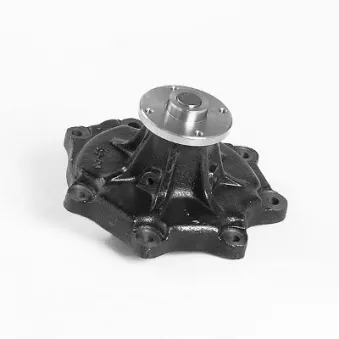 Pompe à eau HEPU OEM 2101006J28