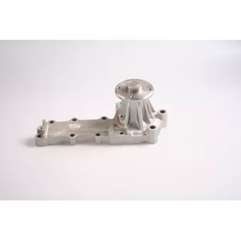Pompe à eau HEPU OEM B10100W00J