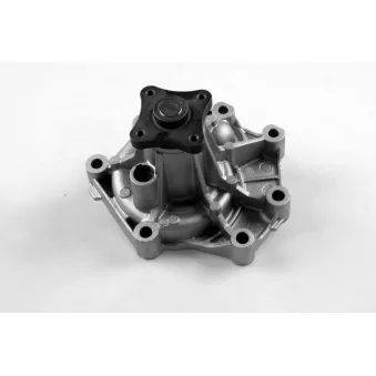 Pompe à eau HEPU OEM 251004A710