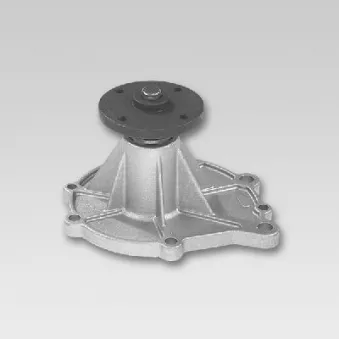 Pompe à eau HEPU P750