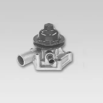HEPU P7505 - Pompe à eau