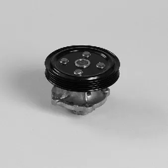 Pompe à eau SAMAXX CPW-VW-051