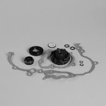 Pompe à eau HEPU P7575