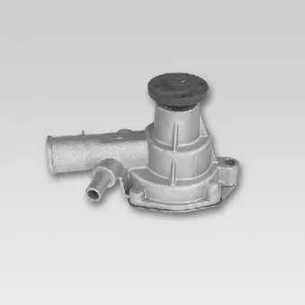 Pompe à eau HEPU P7784