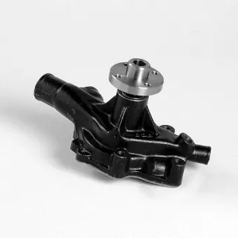 Pompe à eau HEPU P7917