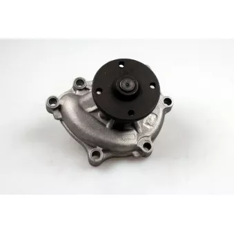 Pompe à eau HEPU OEM 251004X700