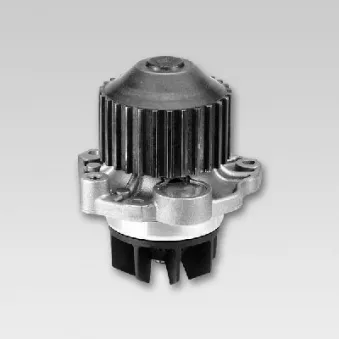 Pompe à eau HEPU OEM 1201E9