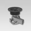 Pompe à eau HEPU [P833]