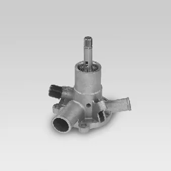 Pompe à eau SASIC 2021671