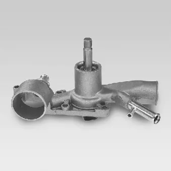 Pompe à eau HEPU P885