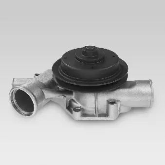 HEPU P886 - Pompe à eau