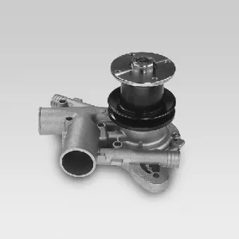 HEPU P945 - Pompe à eau