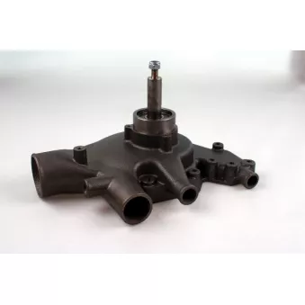 Pompe à eau HEPU P9933