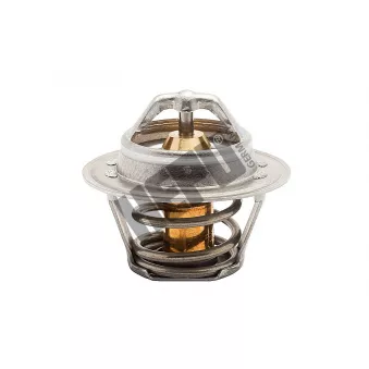 Thermostat, liqiuide de refroidissement HEPU OEM 96180615
