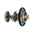 HEPU TM1280 - Thermostat, liqiuide de refroidissement