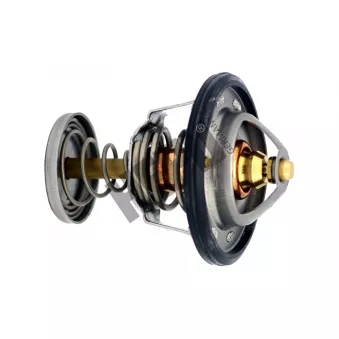 Thermostat, liqiuide de refroidissement HEPU OEM 1338E8