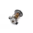 HEPU TM1299 - Thermostat, liqiuide de refroidissement