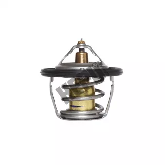 Thermostat, liqiuide de refroidissement HEPU OEM 21200AA072
